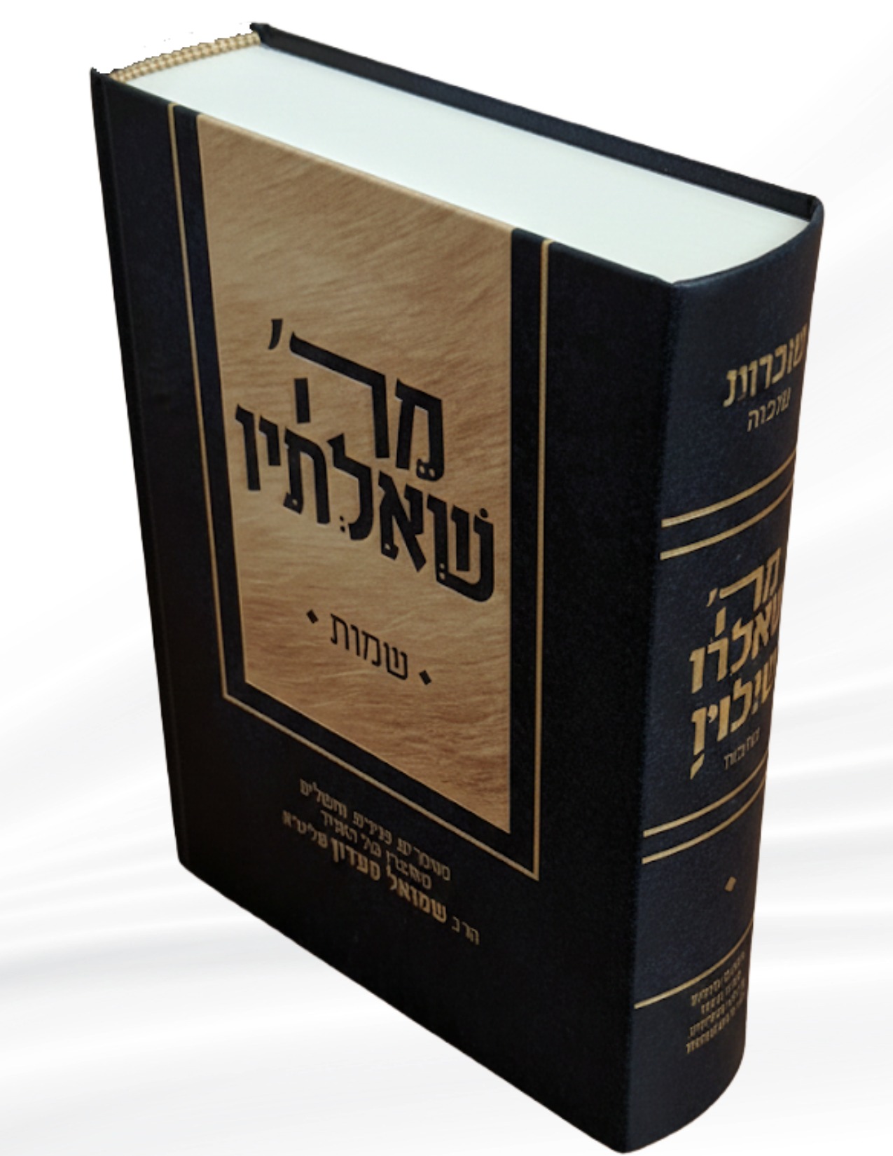 ספר מה שאלתיו - חומש שמות